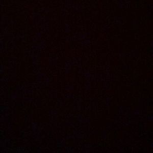 Meet your Posher, Gianna